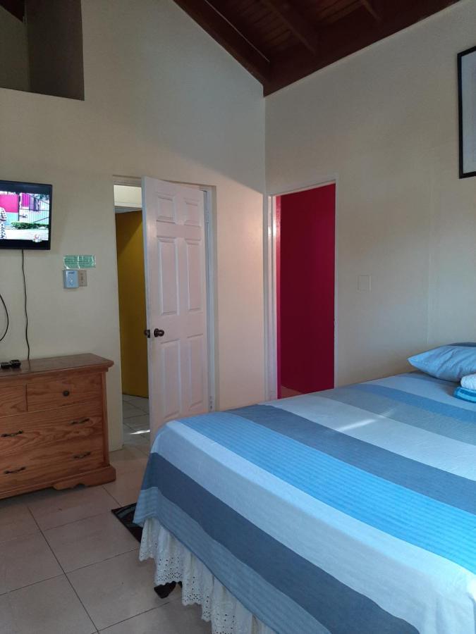 Dancehall Hostel Kingston Exteriér fotografie